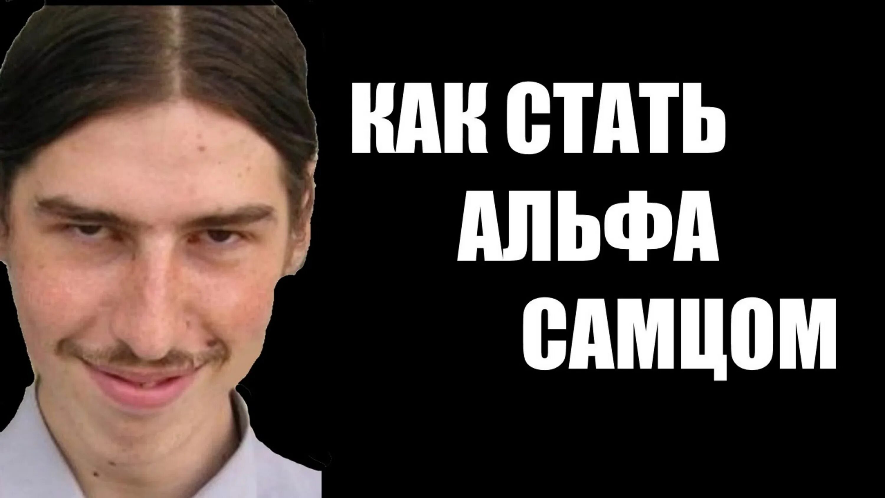 Альфа самец. Альфа самец Мем. Мемы про Альфа самцов. Как стать альфой. Признаки сильного самца