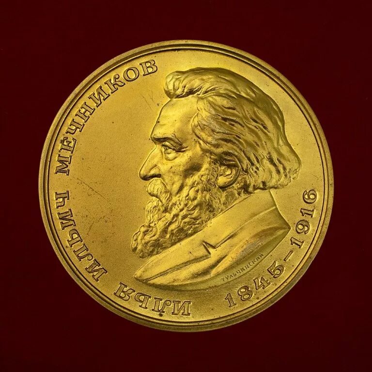 Мечников Нобелевская премия. Нобелевская премия Мечникова 1908.