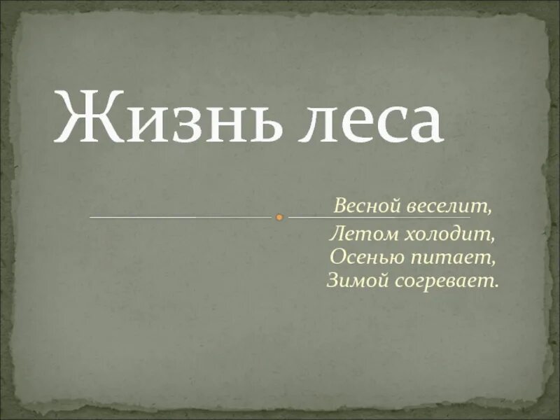 Жизнь леса 4 класс. Жизнь леса 4 класс окружающий мир. Проект жизнь леса. Доклад о жизни леса 4 класс.