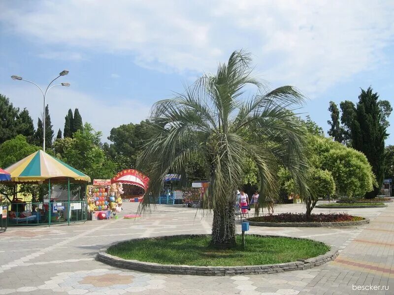 карусели в адлере южное взморье. ромашек 1 адлер парк. адлерский парк культуры и отдыха. адлер парки отдыха. парк аттракционов южное взморье адлер.