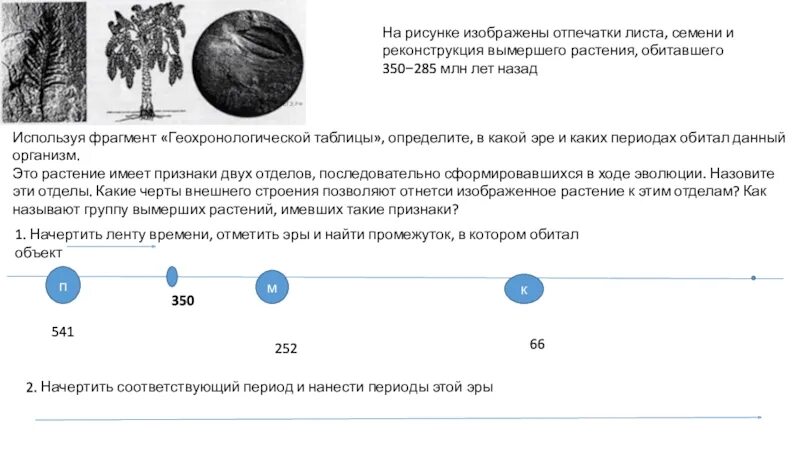 На рисунке изображен отпечаток вымершего животного. На рисунке изображены отпечаток и реконструкция. на рисунке изображены отпечатки листа и семени. на рисунке изображёны отпечатки листа. 350 млн лет назад какая эра.