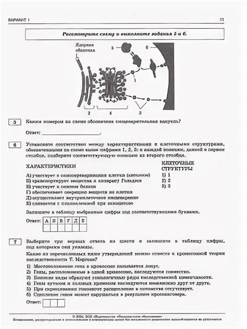 Тренировочный вариант 3 егэ биология