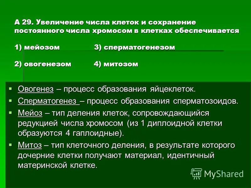 Тетраплоидный набор хромосом. Полиплоидия у растений примеры. Мутационная изменчивость примеры. Увеличение числа хромосом в клетках. Кратное число хромосом.