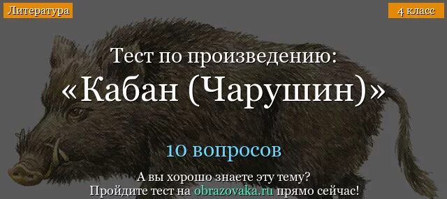 Вопросы к произведению Чарушина кабан. Чарушин кабан. Чарушин кабан вопросы. Вопросы к рассказу Чарушина кабан. Главный герой произведения кабан