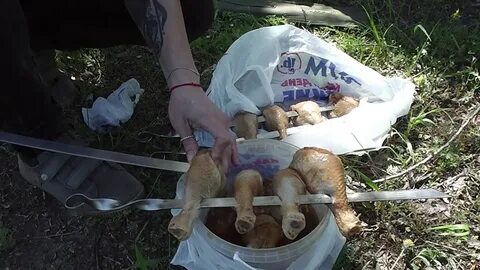 Ловить кур
