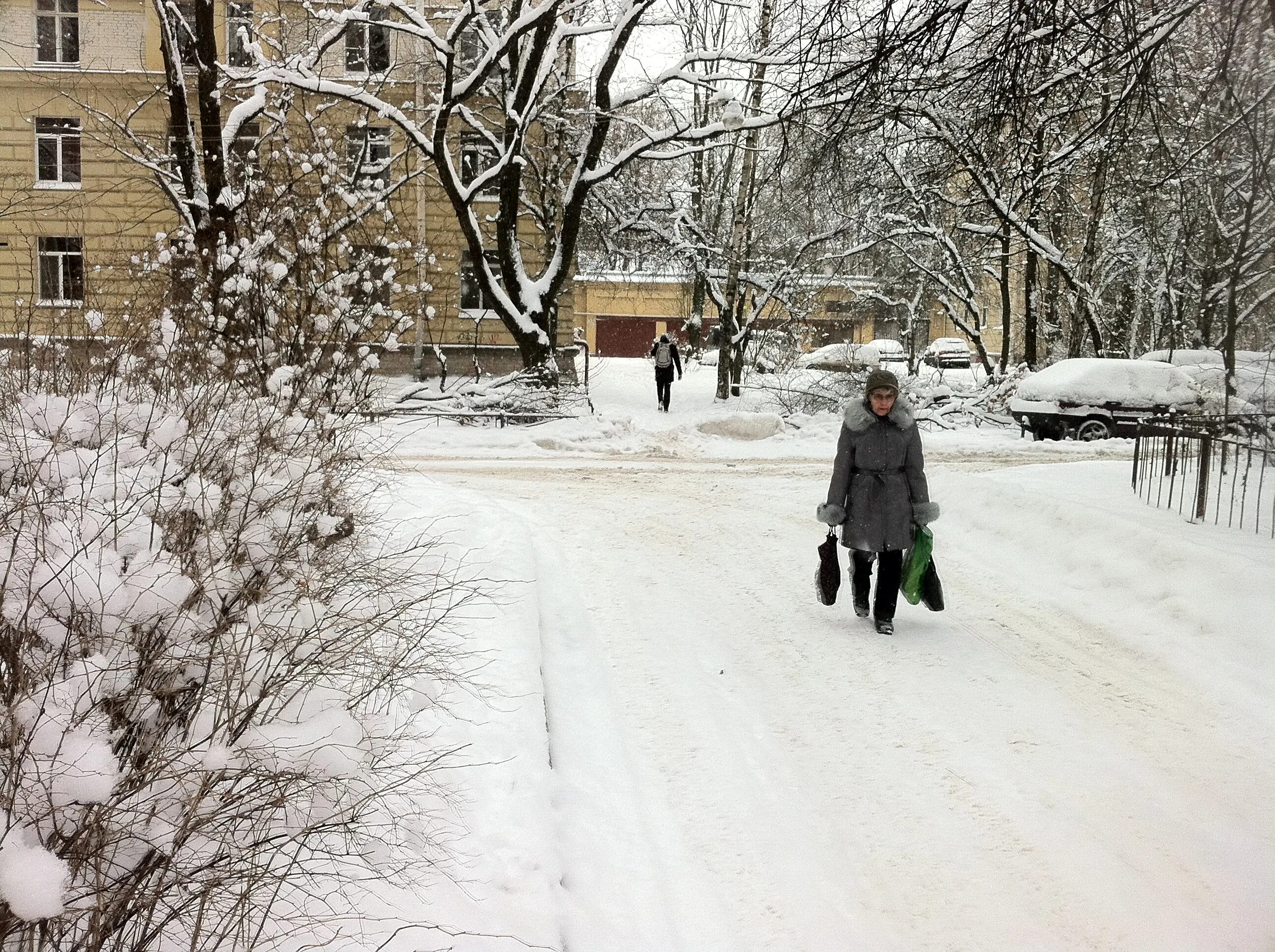 Сегодня снег пришел. Зима пришла неожиданно. Зима пришла нежданно. Зима пришла много снега принесла. Картинки зима пришла неожиданно.