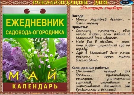5 мая приметы дня