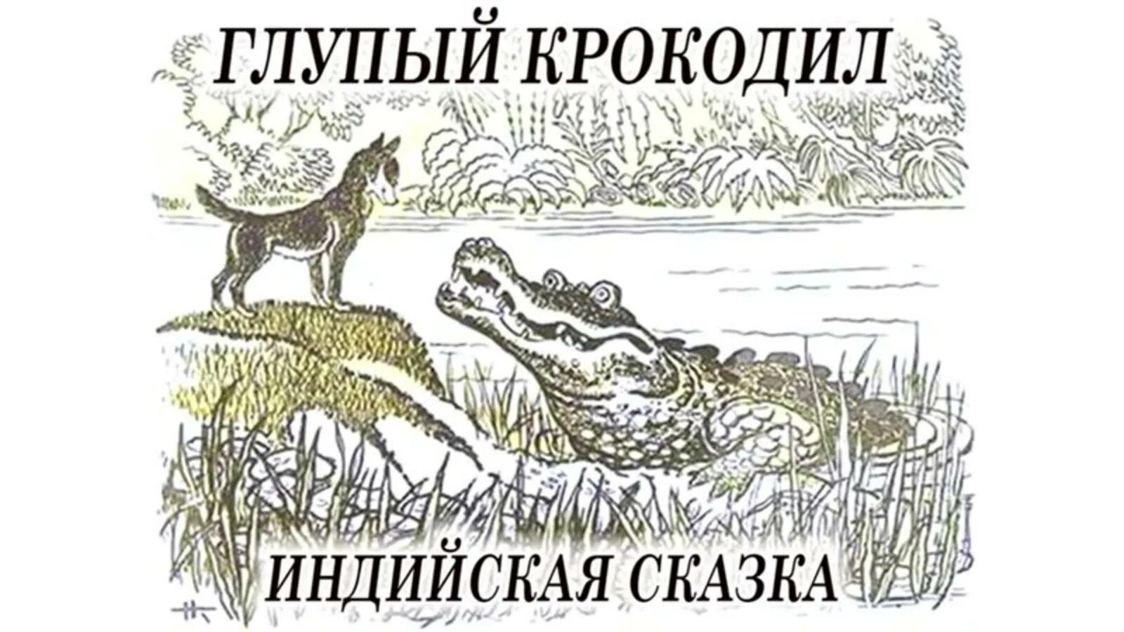 Глупый крокодил сказка. Индийские сказки. Шакал и крокодил индийская сказка. Открытки с крокодилом. Песня бестолковый крокодил