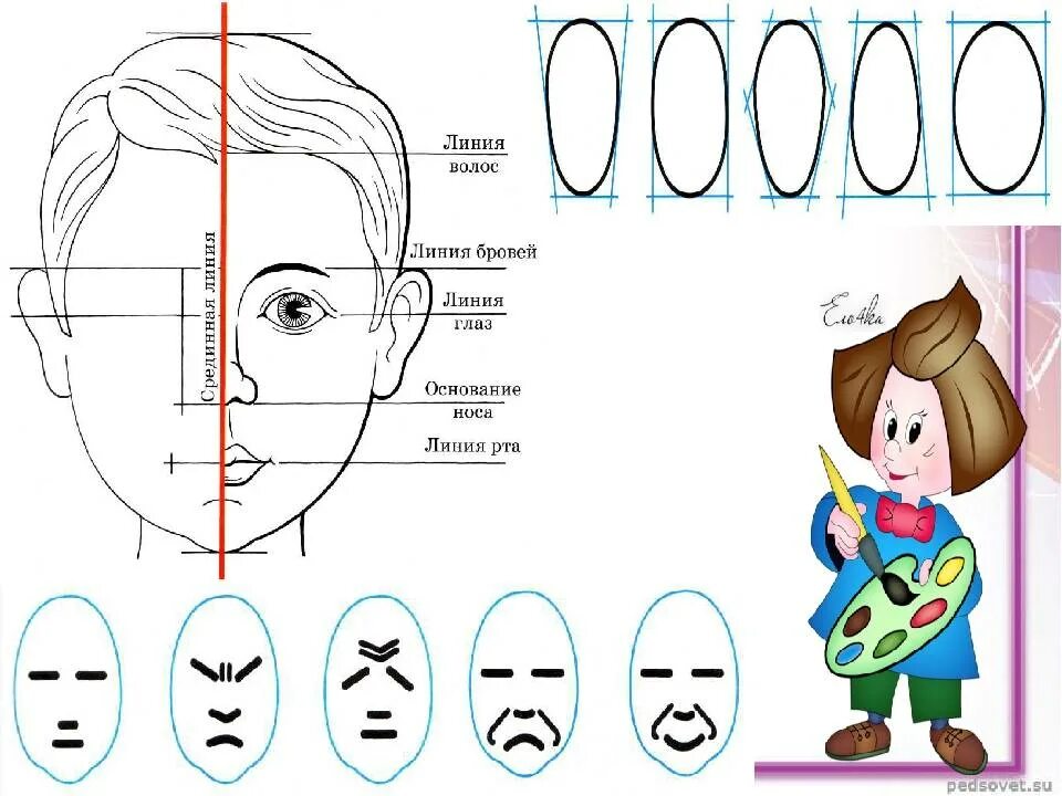 Поэтапное рисование портрета 3 класс презентация. Лицо человека рисунок. Лицо человека рисунок схема. Схема рисования портрета. Схема поэтапного рисования портрета.