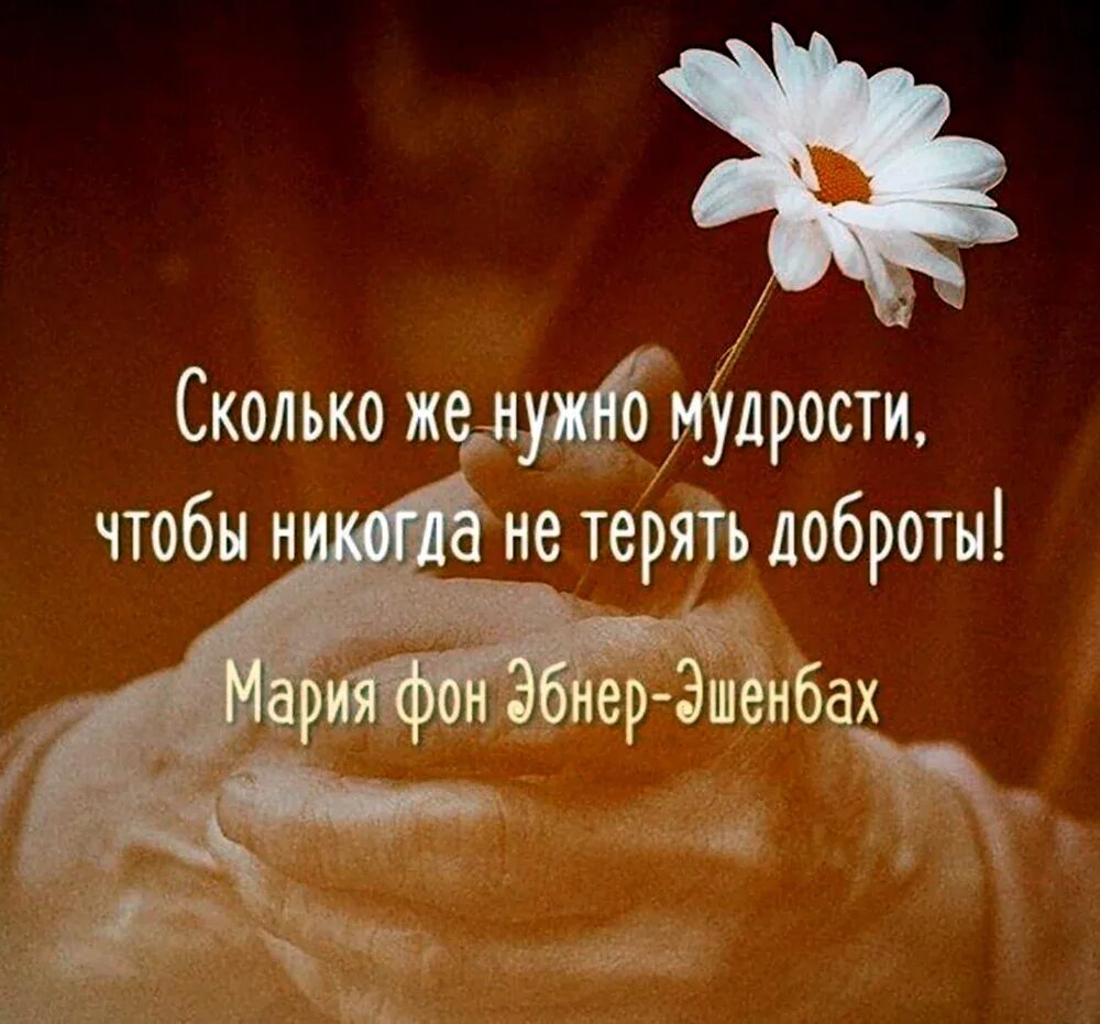 Высказывания про доброту. Добрые цитаты. высказывания о доброте мудрые. афоризмы о доброте души. высказывания о добрых людях.