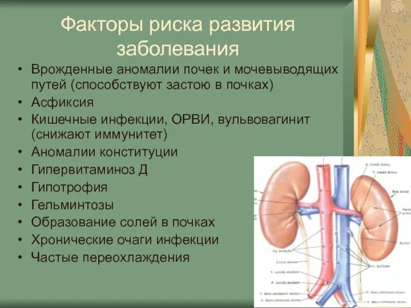 Аномалии развития мочеполовой. Врожденные пороки развития мочевыделительной системы. Врожденные пороки развития почек и мочевыводящих путей. Причины аномалии развития мочевыводящих путей. Врожденные аномалии развития мочевыделительной системы у детей.