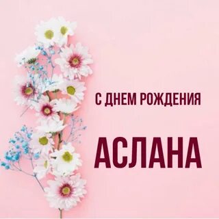 День аслана