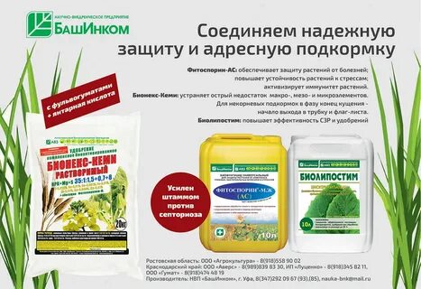 Башинком