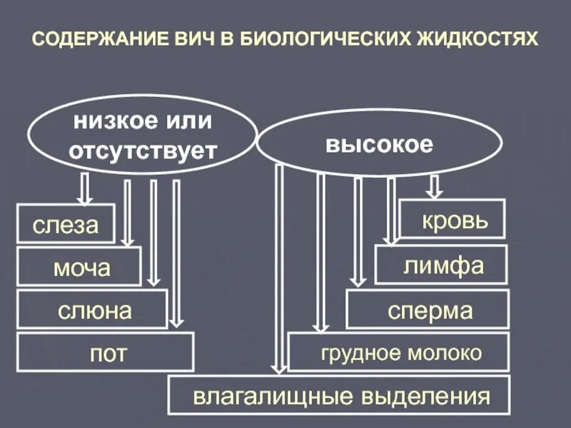 Вич в каких биологических жидкостях. Вич в биологических биологическая жидкость. концентрация вируса вич в биологических жидкостях. содержание вич в жидкостях. содержание вируса вич инфекции в биологических жидкостях.