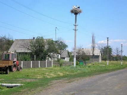 Погода квашино воробьевский