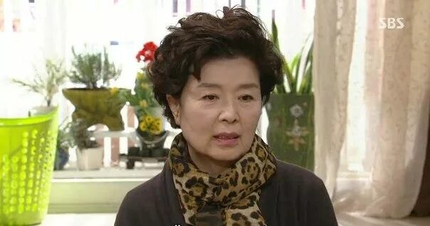 кощиенко сакура