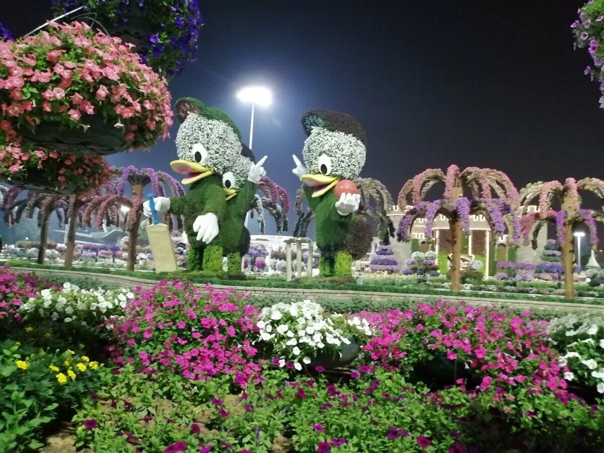 Дубай парк купить билет. Гарден парк Дубай. Парк цветов в Дубае Dubai Miracle Garden. Гарден парк Дубай 2023. Миракл Гарден парк цветов Дубай 2021.