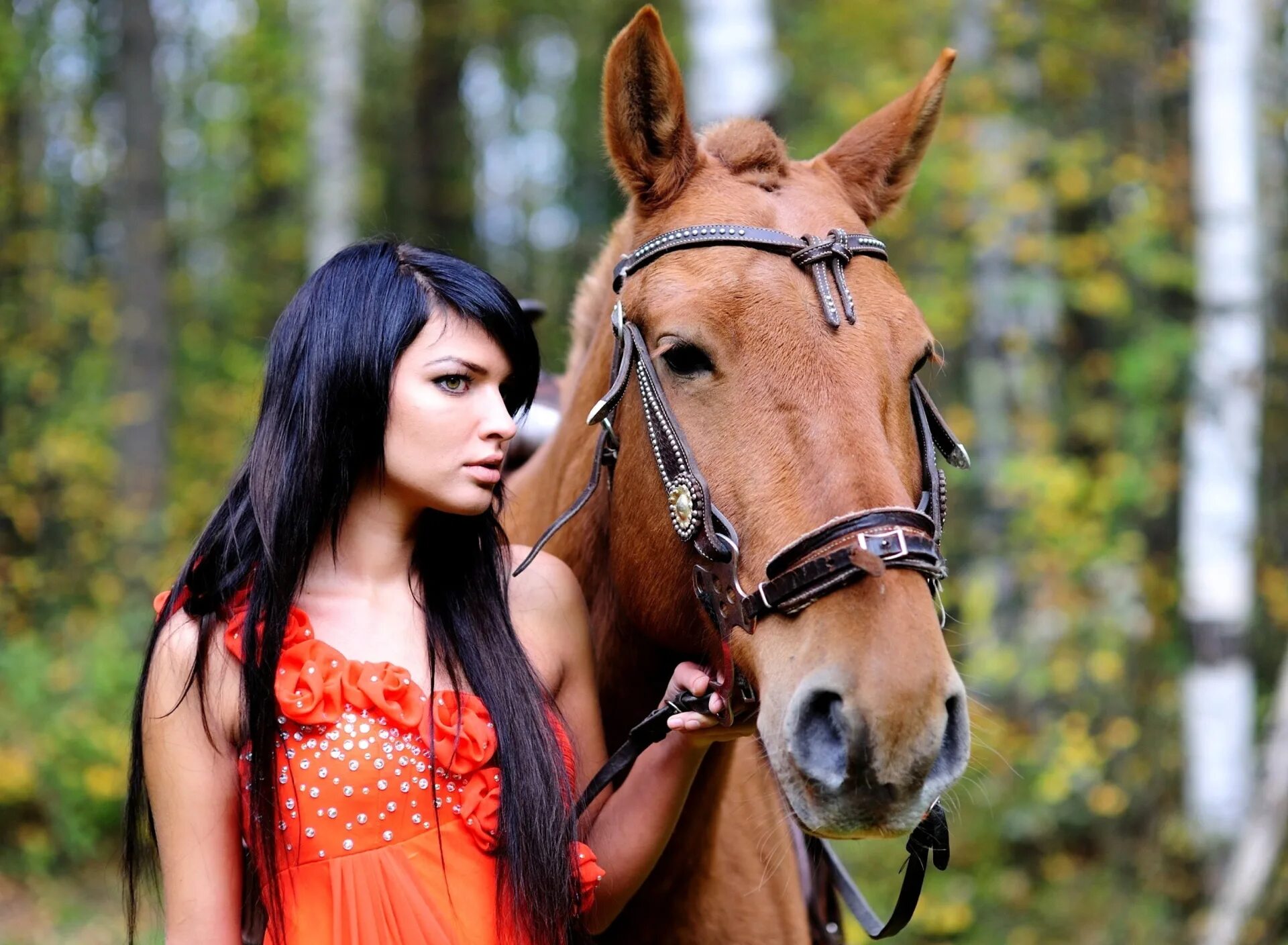 Девки и лошади. Фотосессия с лошадьми. Девушка на коне. Девушка с лошадью. Брюнетка на лошади.
