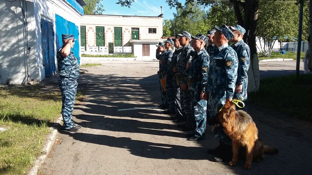 Отдел исправительного учреждения. ФСИН России отдел охраны. ФСИН России ФКУ ИК 6. ФСИН ИК 10 Пермский край. УИС ФСИН охрана.