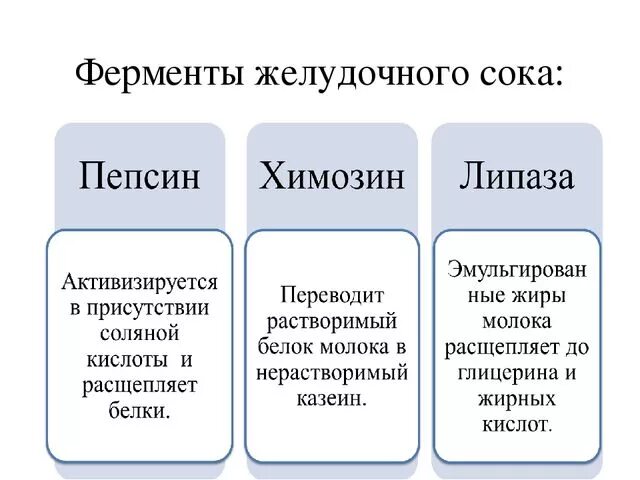 Ферменты желудочного сока желудка. Функции ферментов желудочного сока. В желудочном соке содержатся ферменты:. Ферменты в составе пищеварительного сока. Ферменты желудочного сока таблица.