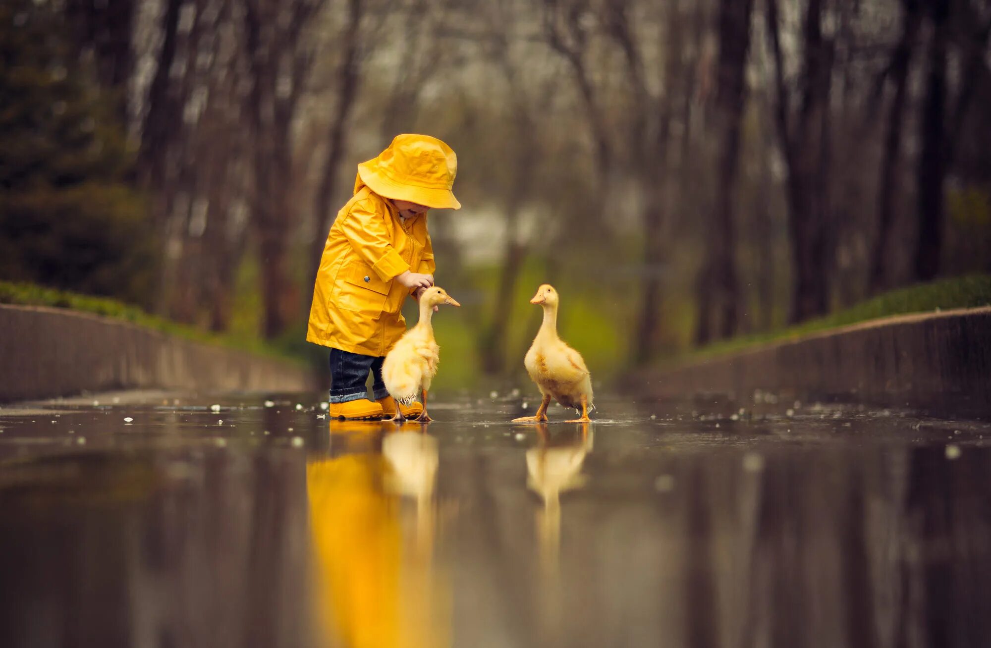 Rain animals. Ребёнок в жёлтом. Ребенок в белом дождевике. Девочка с утятами. Ребенок в желтом дождевике.