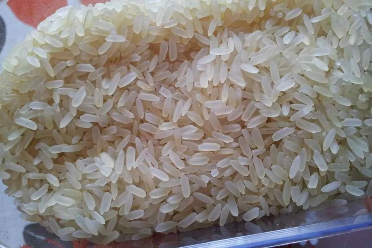 Нужно мыть пропаренный рис. Непропаренный рис. Рис пропаренный и непропаренный. Рис круглый непропаренный. Рис Юбилейный.