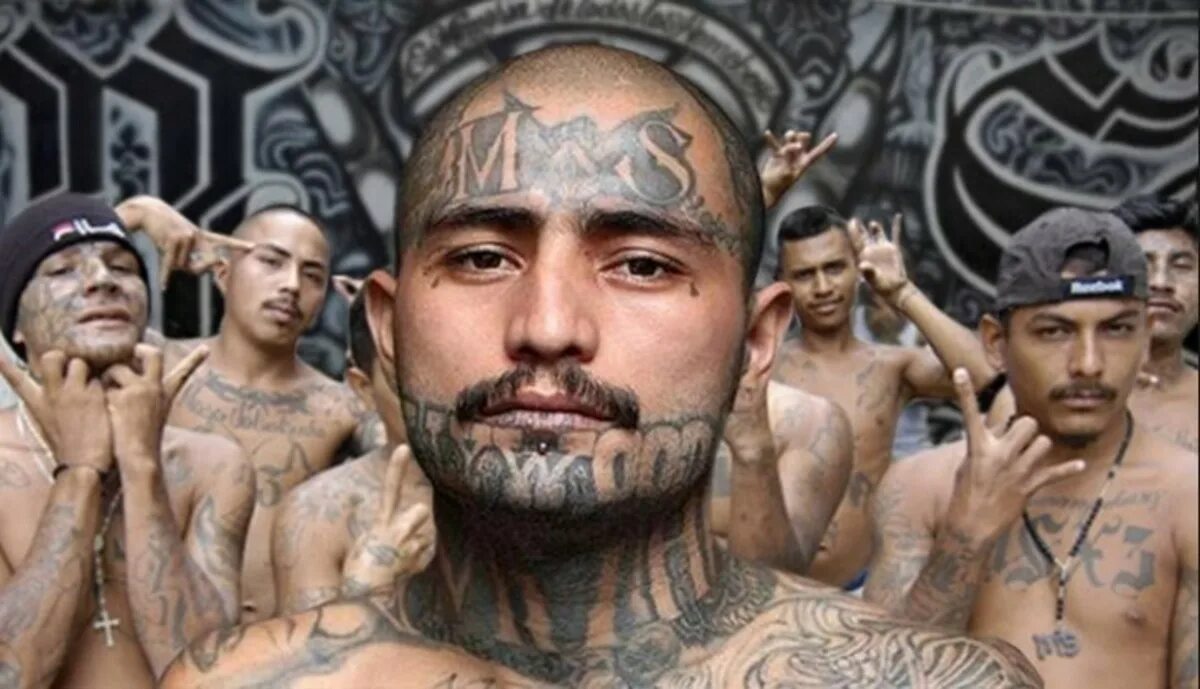 MS 13 Mara Salvatrucha распальцовка.