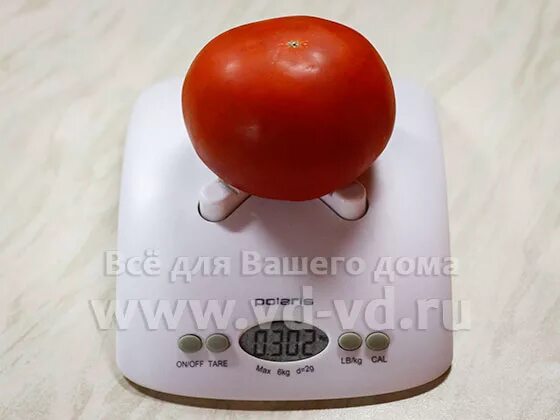 Сколько гр помидор. Вес 1 помидора. Вес 1 помидорки. Помидор вес 1 шт. Вес помидора 1 шт среднего.