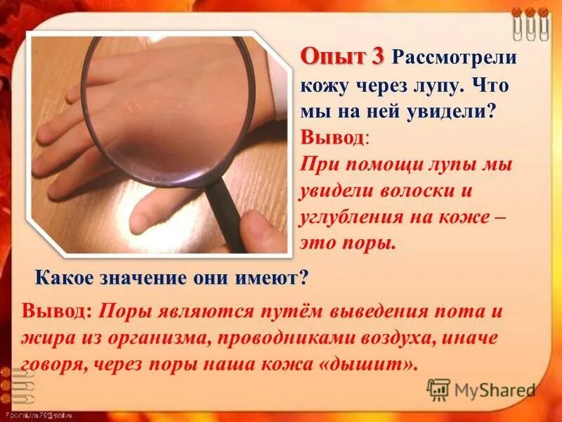 мятный помидор через лупу. через лупу на коже можно. кожа под увеличительным стеклом. кожа под увеличительным стеклом. через лупу на коже можно.