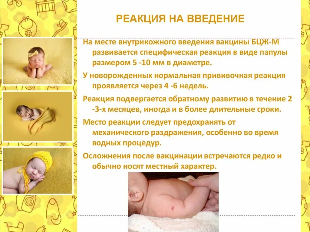 Бцж вакцина реакция. Реакция на Введение вакцины БЦЖ. Реакции на месте введения вакцины БЦЖ:. Реакция у ребенка на прививку БЦЖ. Местная реакция на Введение БЦЖ.