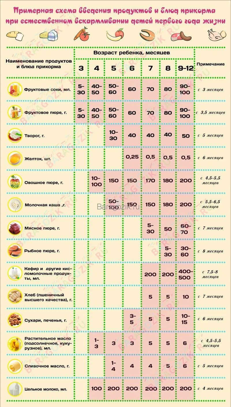 Какие овощи можно на гв