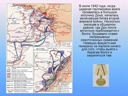 Дона бой