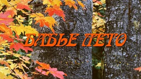 Ягода бабьего лета слушать