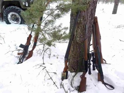 Погода в сайге