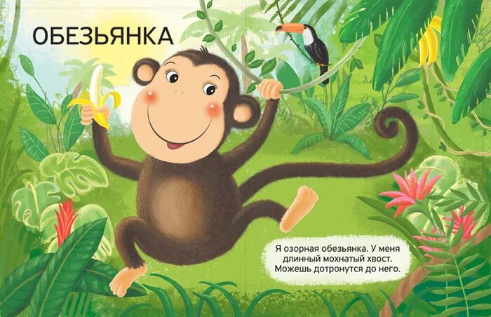 Стих про обезьяну. Стих про обезьяну для детей. Детские стихи про обезьянку. Стихи про обезьянку для детей. Стишки для малышей про обезьянку.