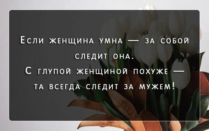 Всегда следить за тем. Женщина которая следит за собой цитаты. Если женщина умна за собой следит она. Умная женщина следит за собой цитаты. Следите за собой цитаты.