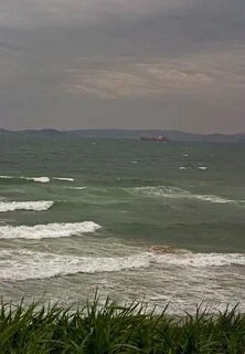 Море 2005