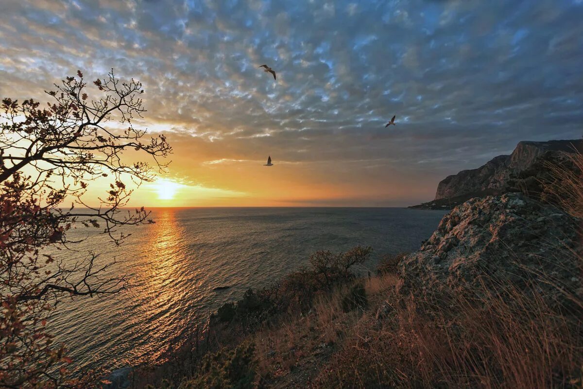 солнце в крыму сегодня. алушта набережная восход. скала дива крым. восход солнца в крыму. крым солнце.