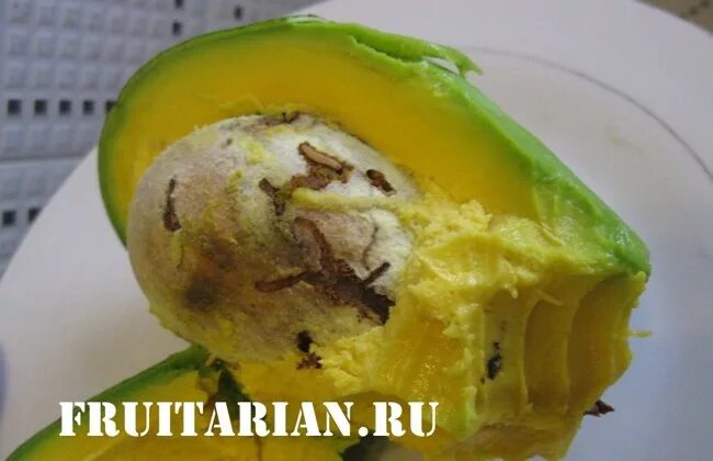 Личинка проволочника. Болезни рамбутана. Манго черви. Манго черви. Бывает ли манго червивый.