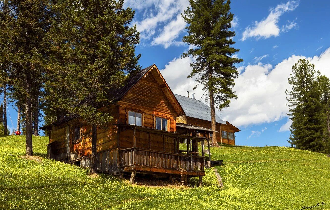 Жозефина холмлунд "избушка на опушке". Деревня деревенька вологодская область. Лесная деревня. Избушка на опушке леса. Деревня в лесу.