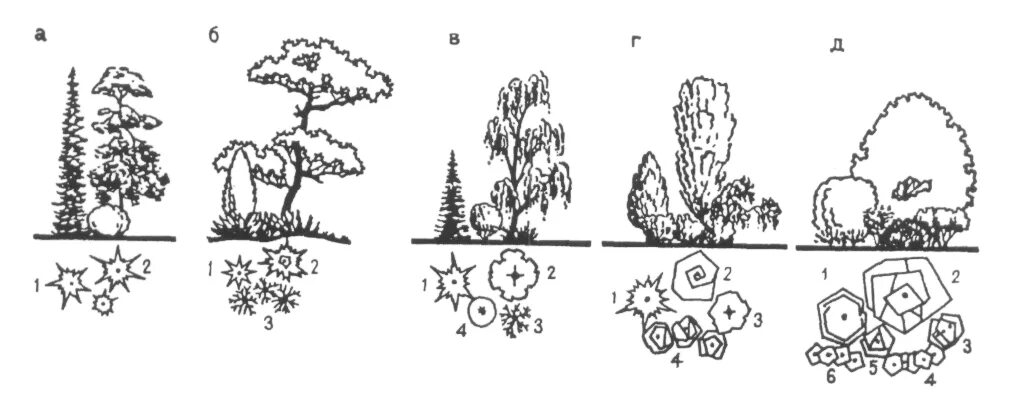 Древесно кустарниковая группа схема. Древесно-кустарниковые композиции схемы. Схема древесно кустарниковых насаждений. Схема посадки древесно-кустарниковых. 5 группа деревьев