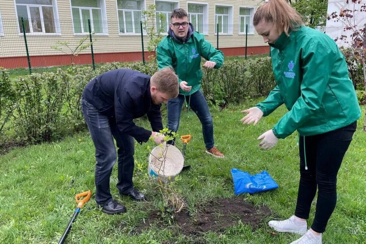 1 мая субботник. Посадка деревьев и кустарников. деревня посадка деревьев. сад памяти субботник. субботник в детском саду.