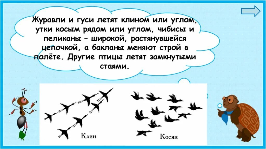 Птички летят бомбить текст. Птицы летят клином. Как летят птицы клином. Почему птицы улетают клином. Почему птицы летят клином.