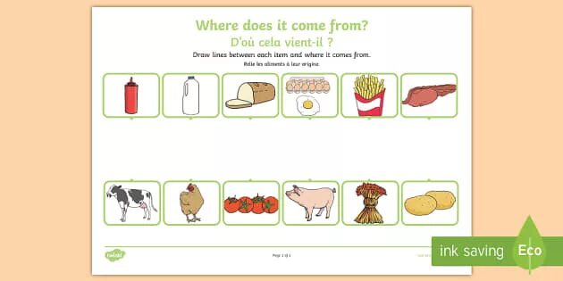 Food comes from Worksheet. Where does food come from. Where does come from. Where food comes from Worksheets for Kids.