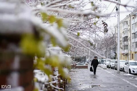 Погода в краснодаре 1 ноября