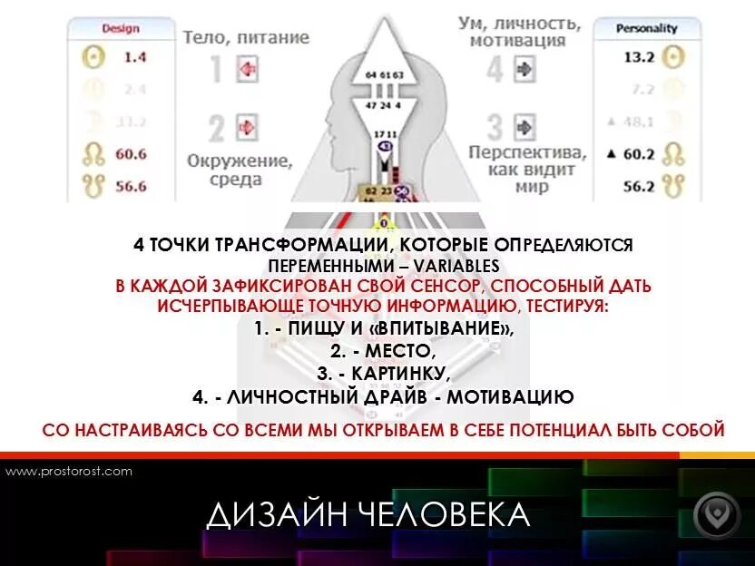 Как узнать окружение. Окружение в дизайне человека. тон дизайн человека. дизайн человека - human design. питание в дизайне человека.