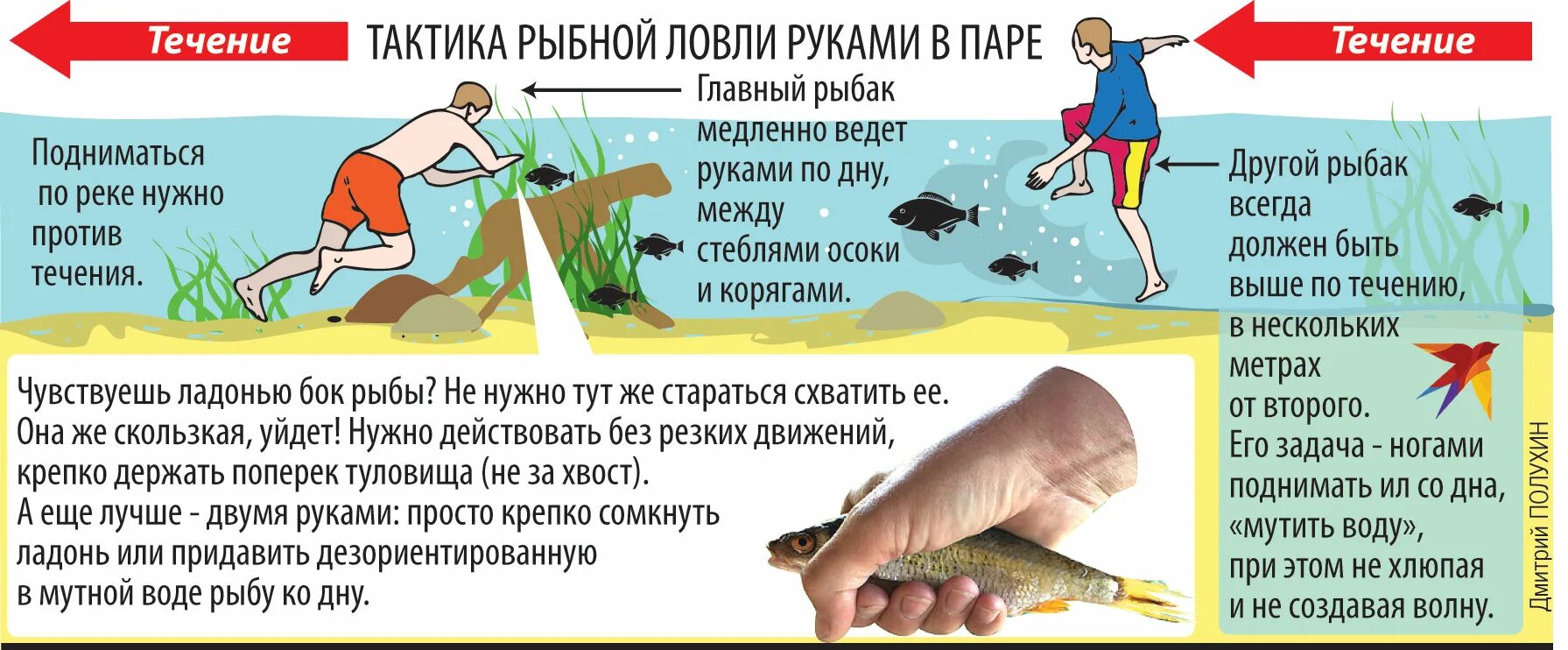 Сонник ловить рыбу мужчине. Ловить рыбу в мутной воде. Ловить рыбку в мутной воде. Ловля рыбы руками. Ловить рыбу в мутной воде фразеологизм.