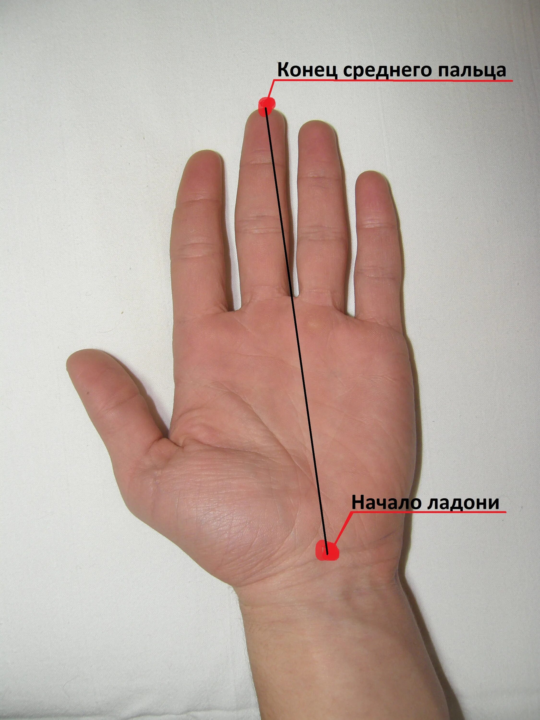 Сколько сантиметров рука. Размер члена по размеру ладони. От запястья до среднего пальца. Средний палец на руке. Длина от запястья до кончика среднего пальца.