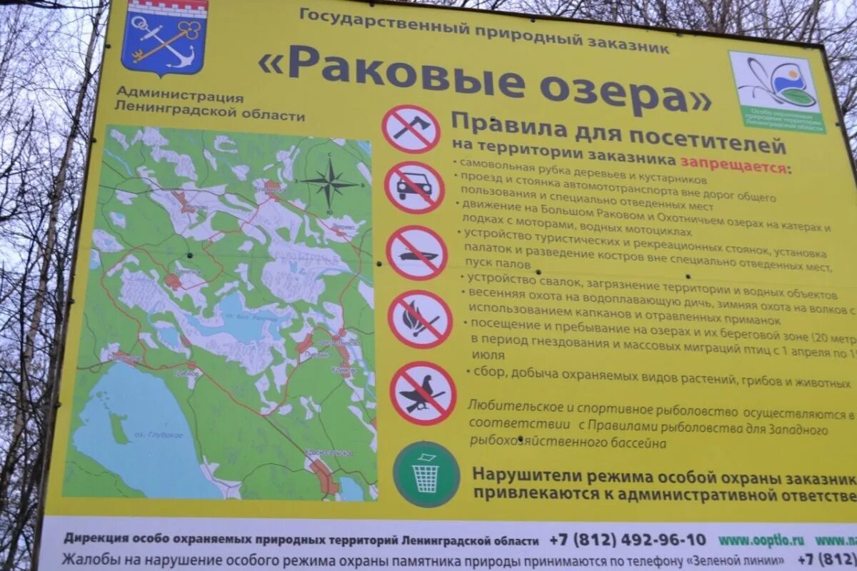 Экотропа линия маннергейма. Заказник раковые озера. Раковые озера экотропа. Государственный природный заказник раковые озера. Государственный природный заказник раковые озера.