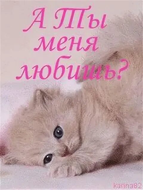 Лапочка для бывшего мужа читать полностью. Ты меня любишь. люблю тебя котик. я тебя люблю котенок. пушистая лапочка.